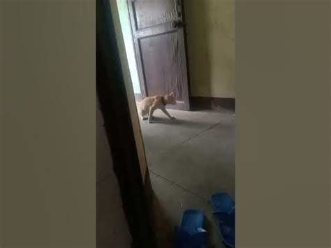 pinay boso viral|Silip .